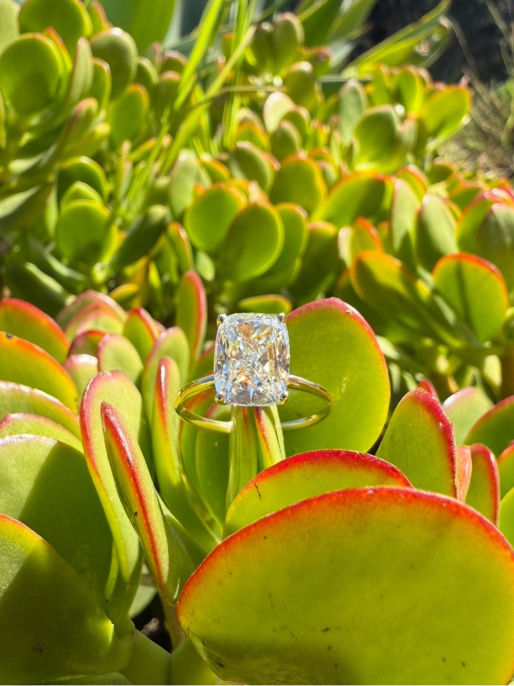 14k Gold Ring with Cushion Diamond